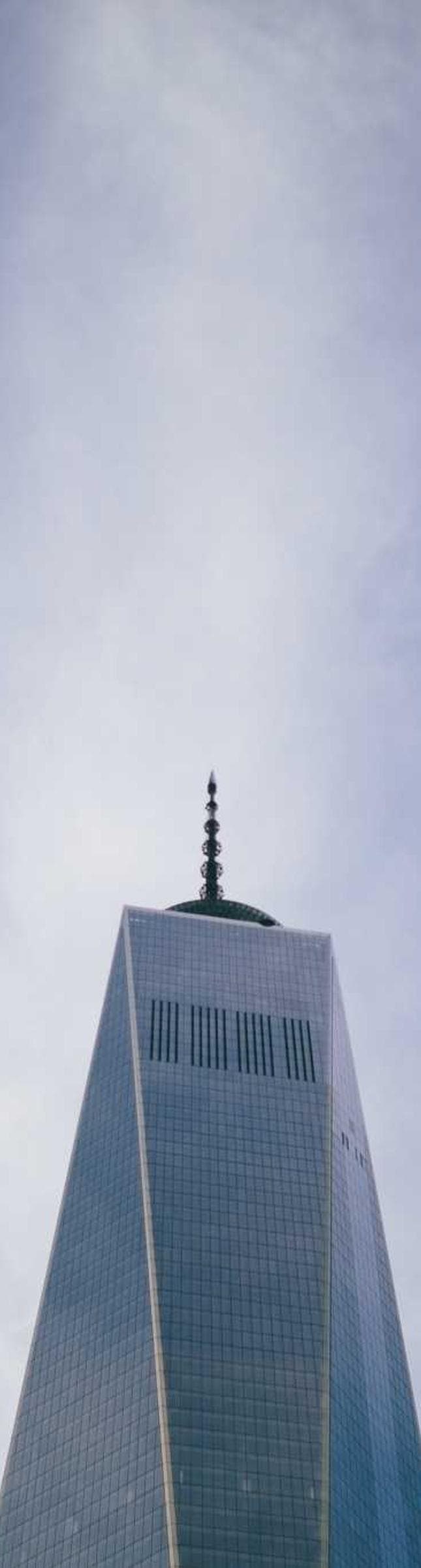 causa magni timor cruentus suus